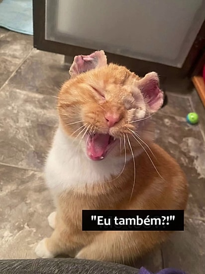 Mesmo com seu passado difícil ele é extremamento amoroso.