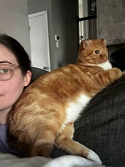 Com tempo e paciência Klaus se adaptou super bem ao novo lar.