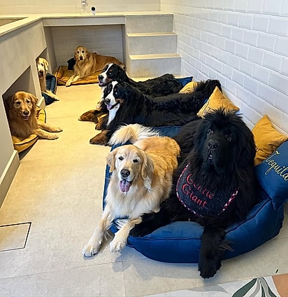 A família cresceu na web e conquistou a casa dos sonhos.