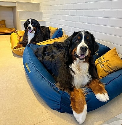 O cômodo contava com camas e espaço adaptado para banho.