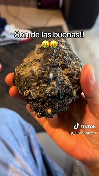 Diariamente, o cãozinho vai até o estabelecimento com uma pedra para trocar por pão.