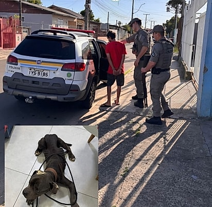 O dono foi preso em flagrante.