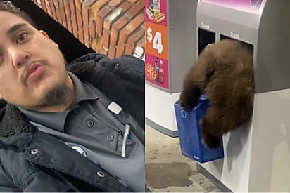 Motorista para abastecer em posto de gasolina e se depara com bumbum peludo saindo de lixeira.