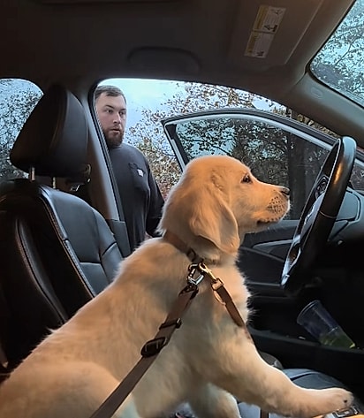 Ryan totalmente confuso.