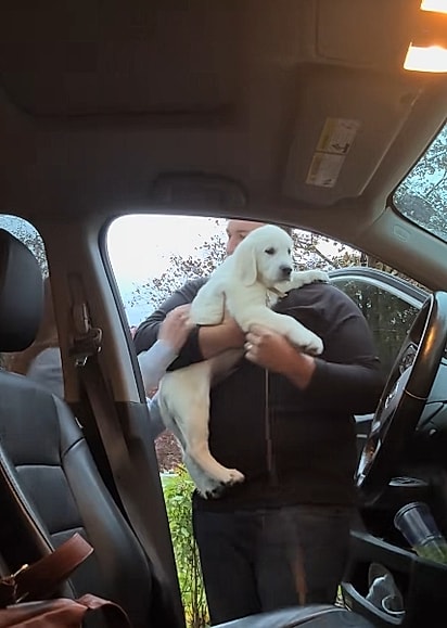 Ryan amou o cãozinho.