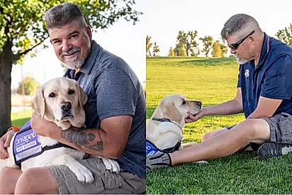 Veterano militar adota cão de serviço para enfrentar traumas e ele acaba salvando sua vida ao detectar doença