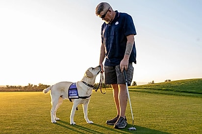 Tommy se tornou o braço direito de Hank Ford.