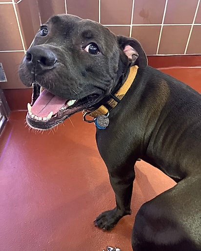 Ele é uma “alma linda”.