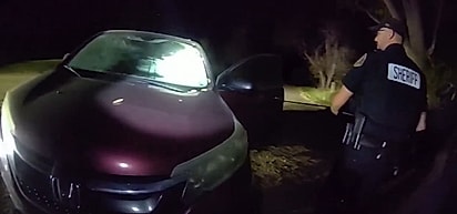 Dentro do carro, um enorme urso esperava pelos policiais.