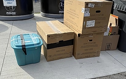 No dia seguinte ao resgate, os voluntários novamente encontraram caixas com mais gatinhos abandonados.