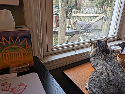 Albert decidiu que iria ficar.