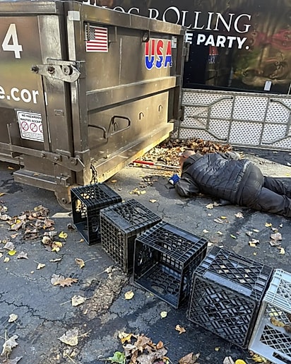 A equipe colocou caixas de leite ao redor da caçamba para impedir que o cão fugisse.