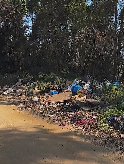 A cachorrinha estava completamente sozinha em uma estrada isolada.