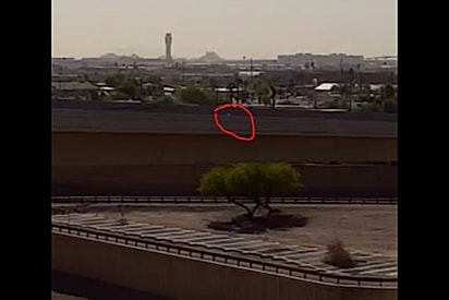 Motorista dirigia tranquilamente em rodovia até se deparar com pequeno ponto branco e precisar chamar resgate.