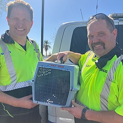 O gatinho foi resgatado com segurança pelas equipes do ADOT e levado para um abrigo, onde recebeu cuidados e muito carinho.