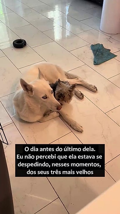 Mija aproveitou os últimos momentos junto aos irmãos.