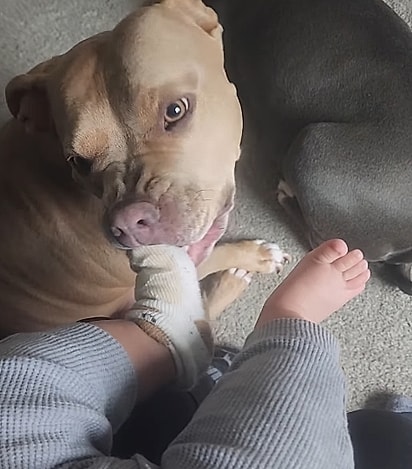 Little tirando as meias do bebê.