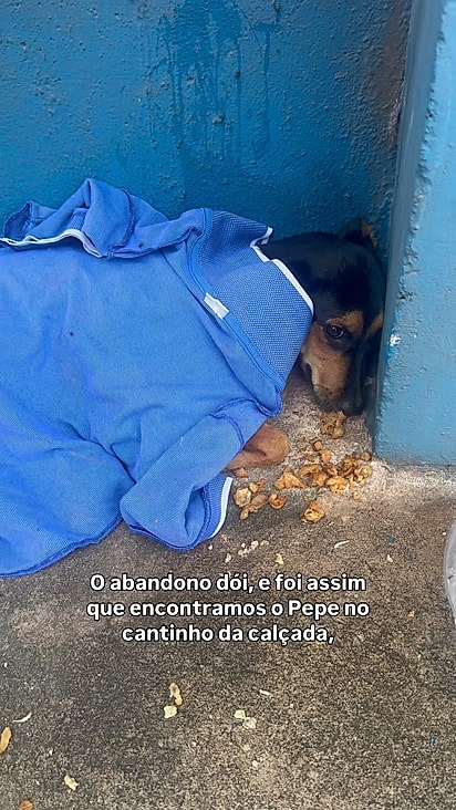 Pepe estava desiludido com a vida.