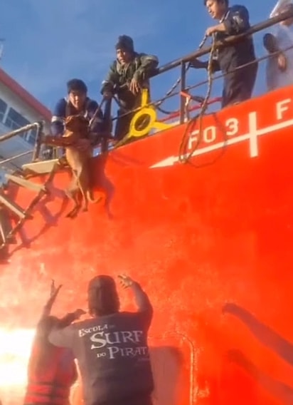 Wilson foi acolhido e tratado com carinho pela tripulação do navio.