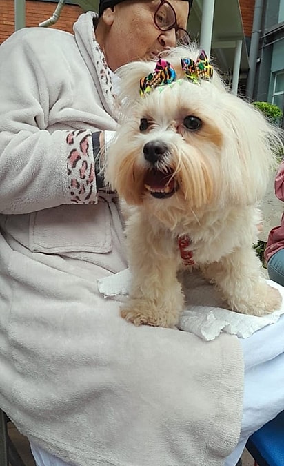 Amora tem dois anos e recentemente entrou para o projeto.