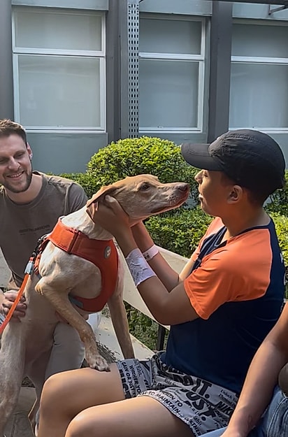 A Pet Terapia conta com 9 cães pet terapeutas.