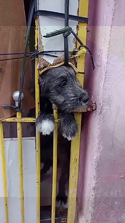 Alice vivia isolada em um cômodo.