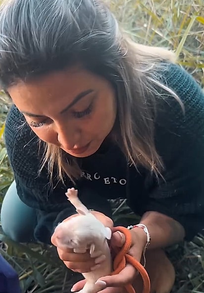 A família canina encontrou abrigo e esperança.