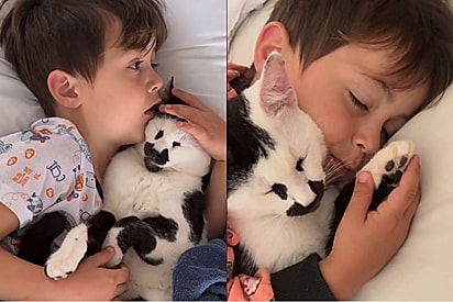 Gato resgatado é obcecado pelo carinho de seu mini-humano e encanta milhares de internautas.