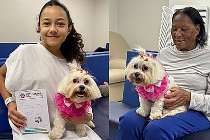 Cachorrinha que ajudou tutora a vencer doença agora leva amor a outras pacientes.
