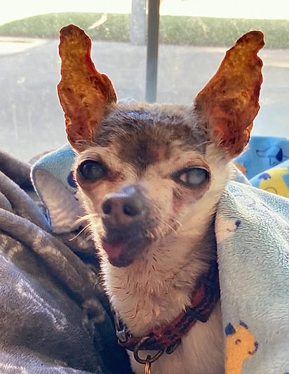 Tatey é cheio de marcas de um passado difícil.