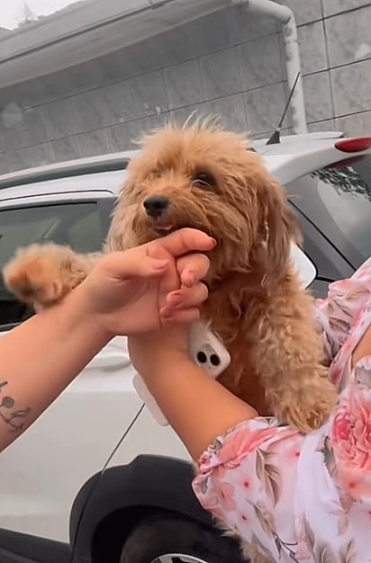 Big, no dia em que foi resgatado.