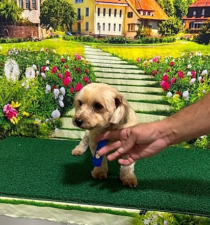 Big após o resgate.