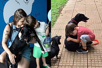 Escolhido pelo amor: Menino escolhe cachorro pretinho totalmente fora do padrão e ganha o mais fiel escudeiro