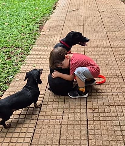 José abraçando seu novo melhor amigo.