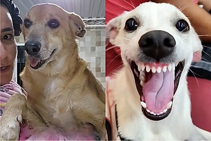 Após cair em 14 golpes, jovem exibe a coleção inesperada e irresistível de consequências.