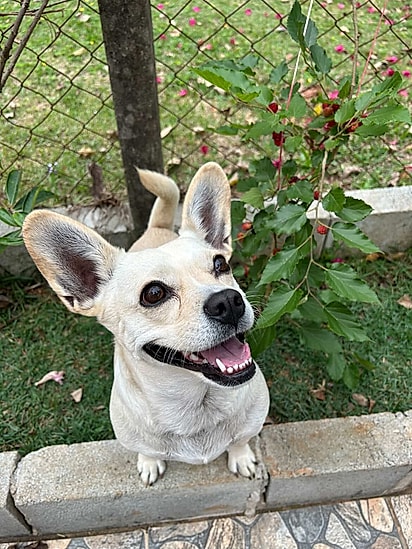 Hoje, Guadalupe tem 4 aninhos.