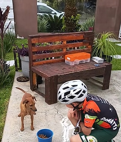 A cachorrinha, já em casa, recebendo comida.