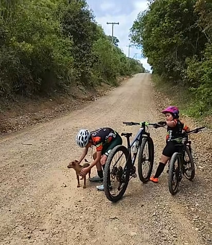 A família encontrou uma cachorrinha abandonada na estrada.