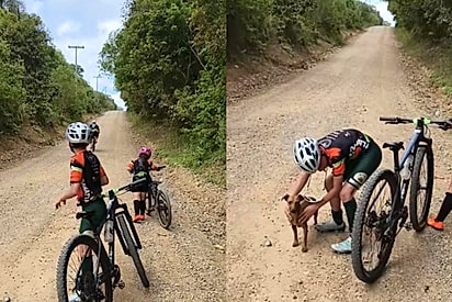 Tudo estava dando errado em passeio de bicicleta, até família encontrar cachorrinha abandonada