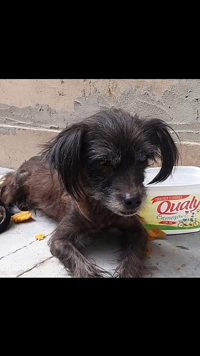 Neguinha estava debilitada.