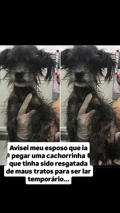 A cachorrinha era muito assustada.