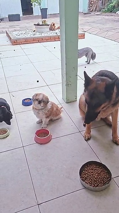 Todos aprenderam a esperar pela oração.