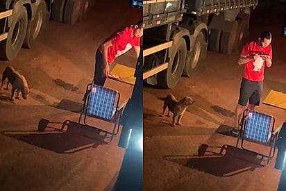 De longe, esposa flagra como caminhoneiro trata cachorro vira-lata que pediu comida e detalhe chama atenção