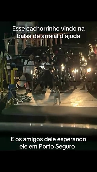 Eles já são figuras conhecidas no local.