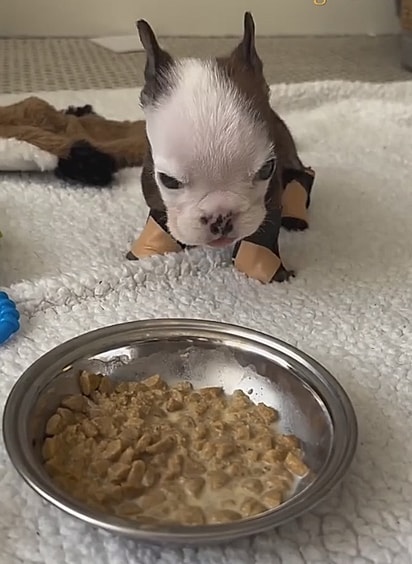 Aos poucos, ele começou a sentar sozinho.