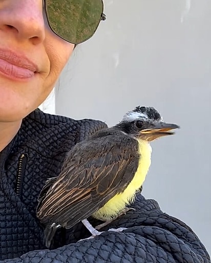 Margone deu tudo de si para que o pequeno Pi tivesse uma chance real de viver livre e feliz.