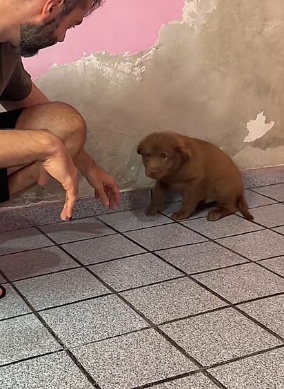 No começo, Ravioli estava assustado.