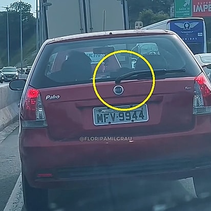 O cachorro, agora protegido dentro do carro do seu salvador.