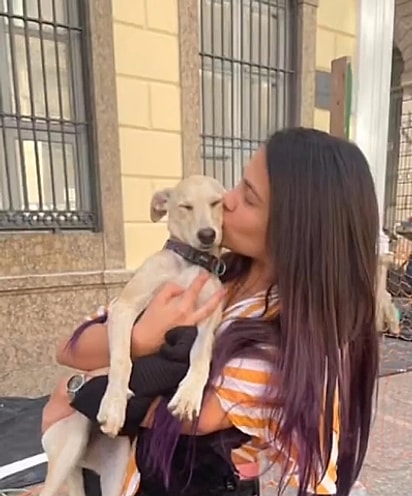 Alice estava no intervalo da aula quando encontrou a cachorrinha.