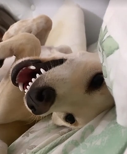 Filomena sorridente.